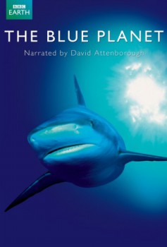 poster The Blue Planet - Complete serie
          (2001)
        